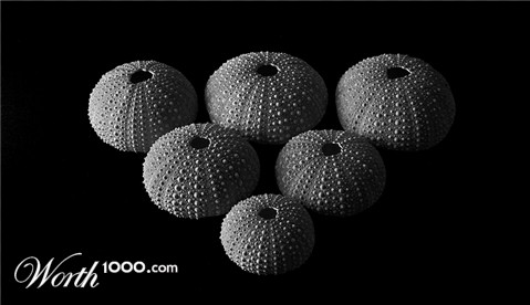 Photography by BBBastet