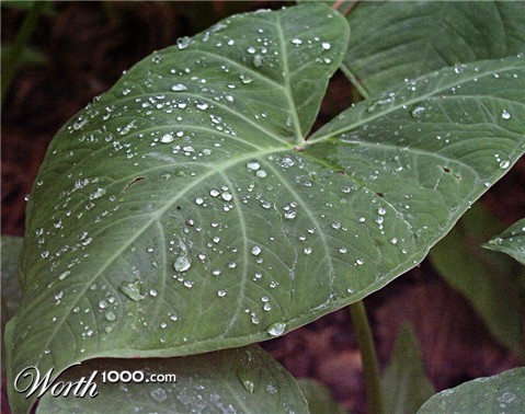 Photography by learn2swim96