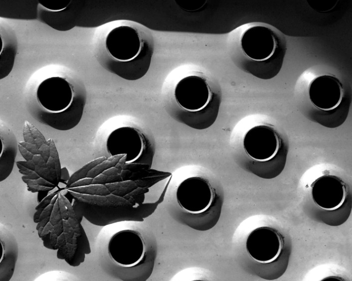 Photography by liberty2007crusader for DesignCrowd (Community Contests) | Design #8996773