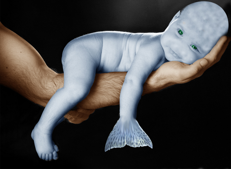 Design Photoshop par pmetzga pour DesignCrowd (Community Contests) | Design #8997847