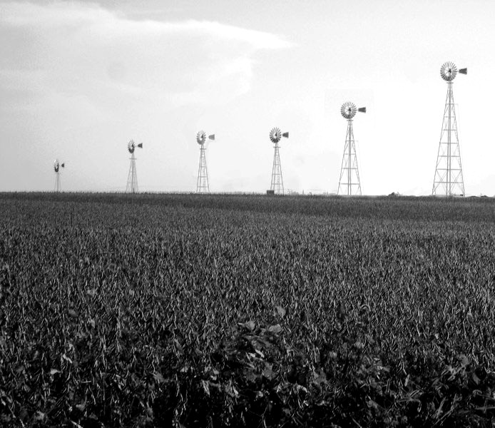 Photography by coopaloop for DesignCrowd (Community Contests) | Design #8996779