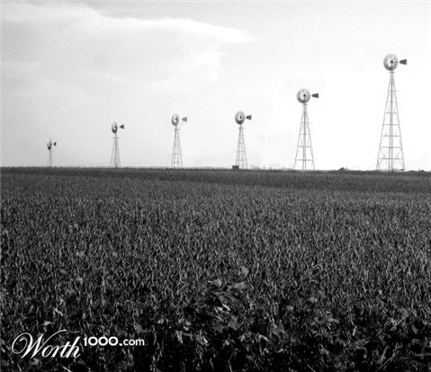 Photography by coopaloop