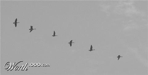 Photography by Megistus