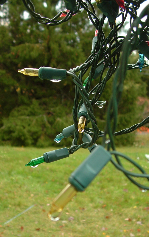 Photography by jen2203 for DesignCrowd (Community Contests) | Design #8998289