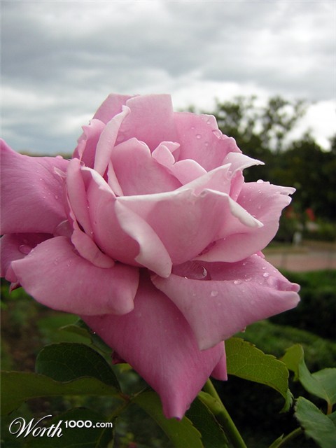 Photography by holdenzgz