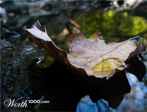 Photography by narfpie