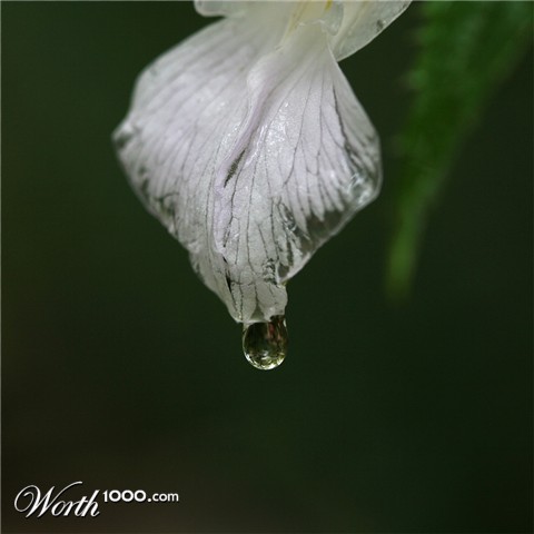 Photography by bbbdd38