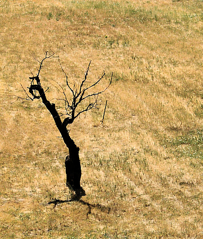 Photographie par bevissimo pour DesignCrowd (Community Contests) | Design #8999242