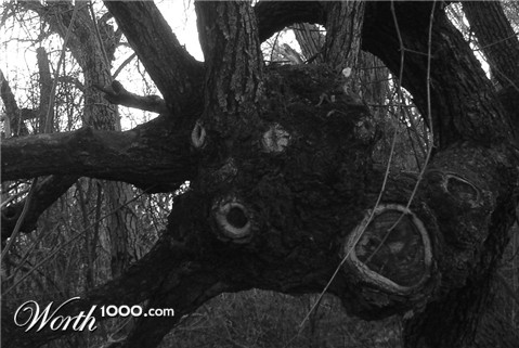 Photography by ljvgtj