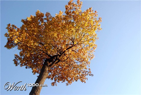 Photography by zengerbil