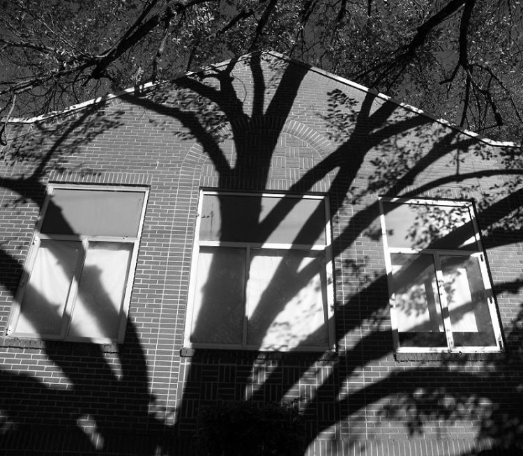 Photographie par crzyme pour DesignCrowd (Community Contests) | Design #8996860