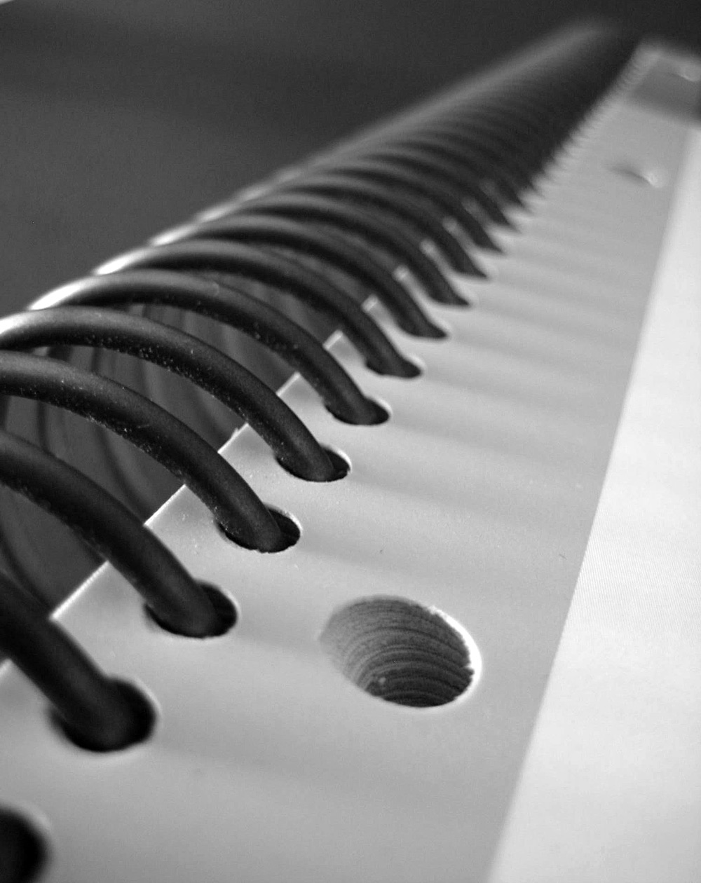 Photography by cridley for DesignCrowd (Community Contests) | Design #8996870