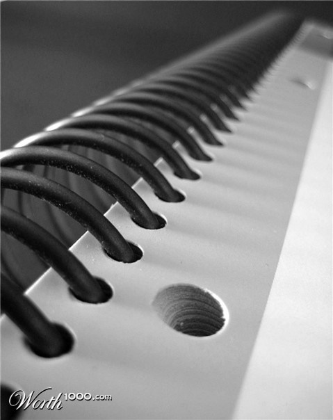 Photography by cridley