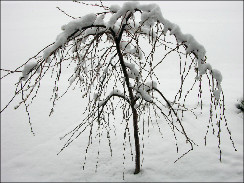 Photography by cliknsnap for DesignCrowd (Community Contests) | Design #8999281