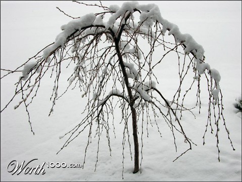 Photography by cliknsnap