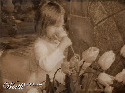 Photography by SeeVee