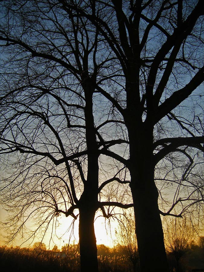 Photography by Anserculus for DesignCrowd (Community Contests) | Design #8999272