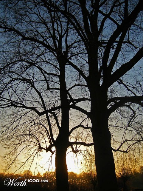 Photography by Anserculus