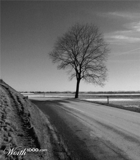 Photography by greenjesus