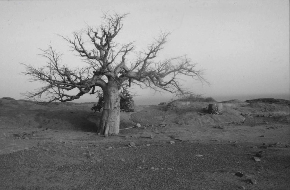 Fotografía por Nguuju para DesignCrowd (Community Contests) | Diseño #8999286