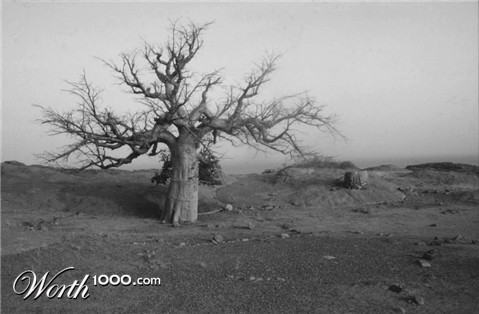 Photography by Nguuju