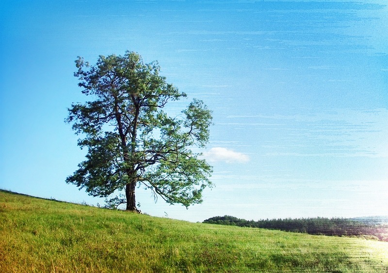 Photography by filipvalach for DesignCrowd (Community Contests) | Design #8999345