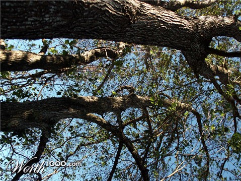 Photography by learn2swim96