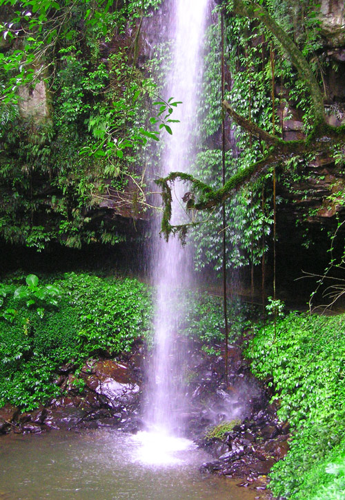 Photography by mur308 for DesignCrowd (Community Contests) | Design #8996190