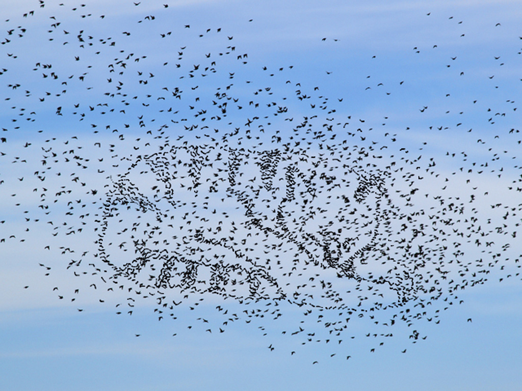 Photoshop-Design von kooskoodiroo für DesignCrowd (Community Contests) | Design #8997612