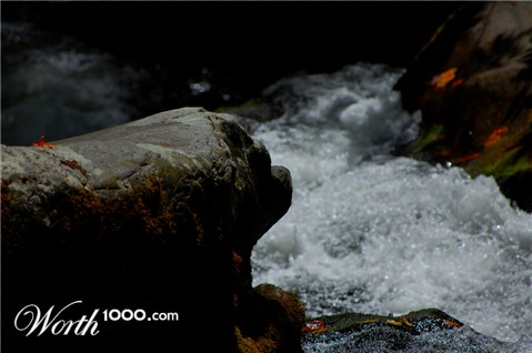 Photography by Mitch Slayton