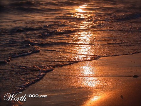 Photography by shamikiely