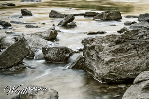 Photography by LaylaBlue