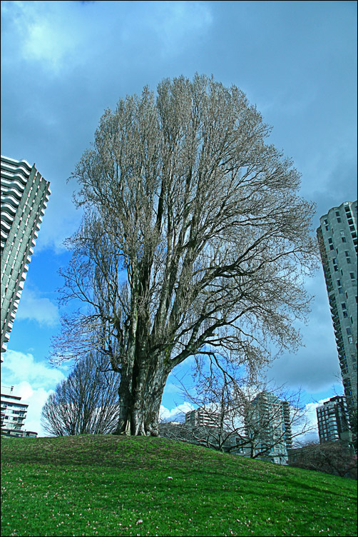 Fotografía por whlutz para DesignCrowd (Community Contests) | Diseño #8999309