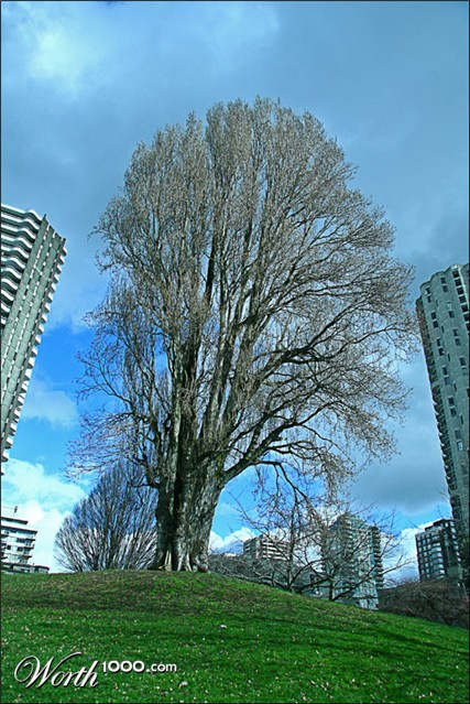 Photography by whlutz