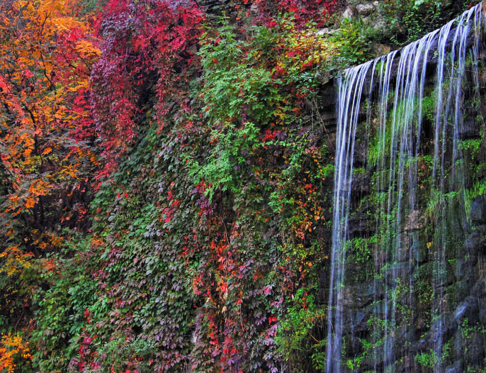 Photography by NatashaP for DesignCrowd (Community Contests) | Design #8996254