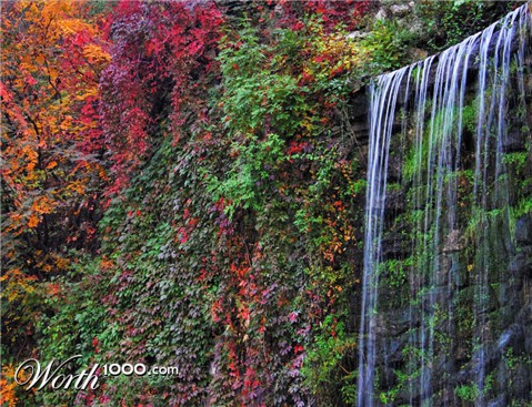 Photography by NatashaP