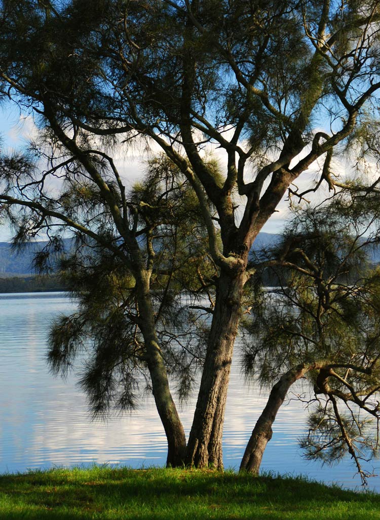 Fotografía por gymp93 para DesignCrowd (Community Contests) | Diseño #8999320