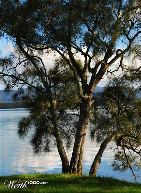 Photography by gymp93