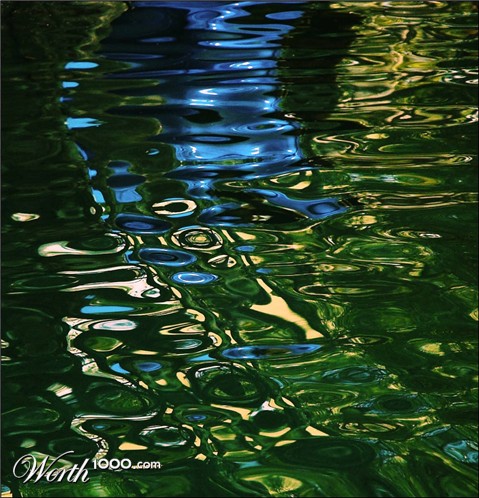 Photography by kimbomac