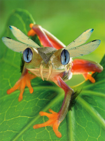 Photoshop Design by Aleksandar1992 for DesignCrowd (Community Contests) | Design #8999563