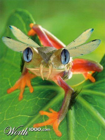 Photoshop Design by Aleksandar1992