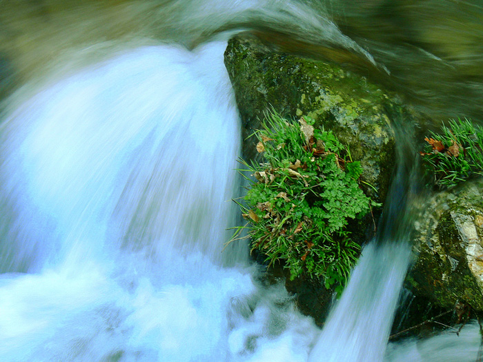 Photography by them00n for DesignCrowd (Community Contests) | Design #8996240