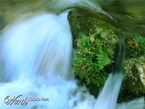 Photography by them00n