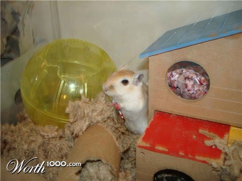 Photoshop Design by thedeadgod