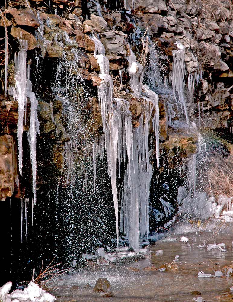 Photography by Lmorrow57 for DesignCrowd (Community Contests) | Design #8996326