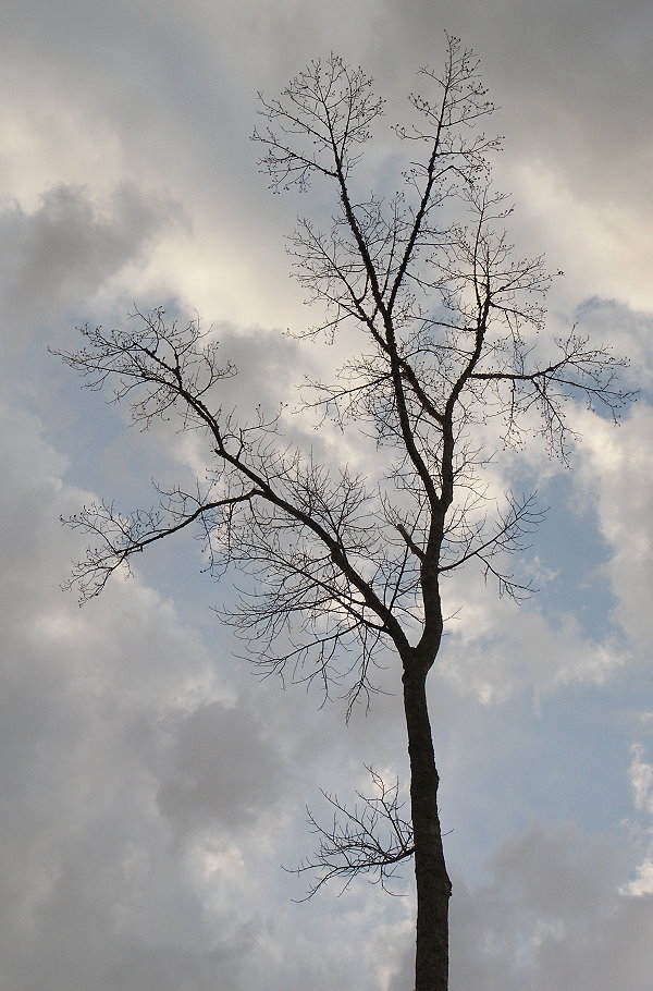 Fotografía por crzyme para DesignCrowd (Community Contests) | Diseño #8999307