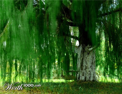 Photography by resouzaesouza