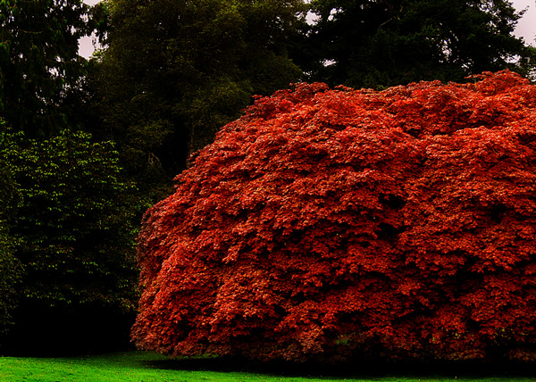 Photography by them00n for DesignCrowd (Community Contests) | Design #8999402