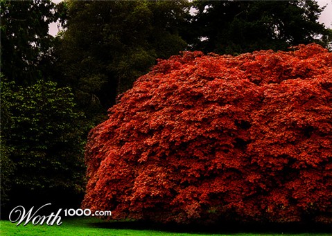 Photography by them00n