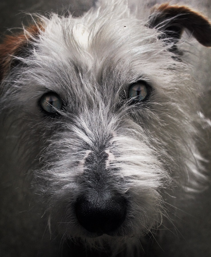 Photoshop Design by MikelB for DesignCrowd (Community Contests) | Design #8999552